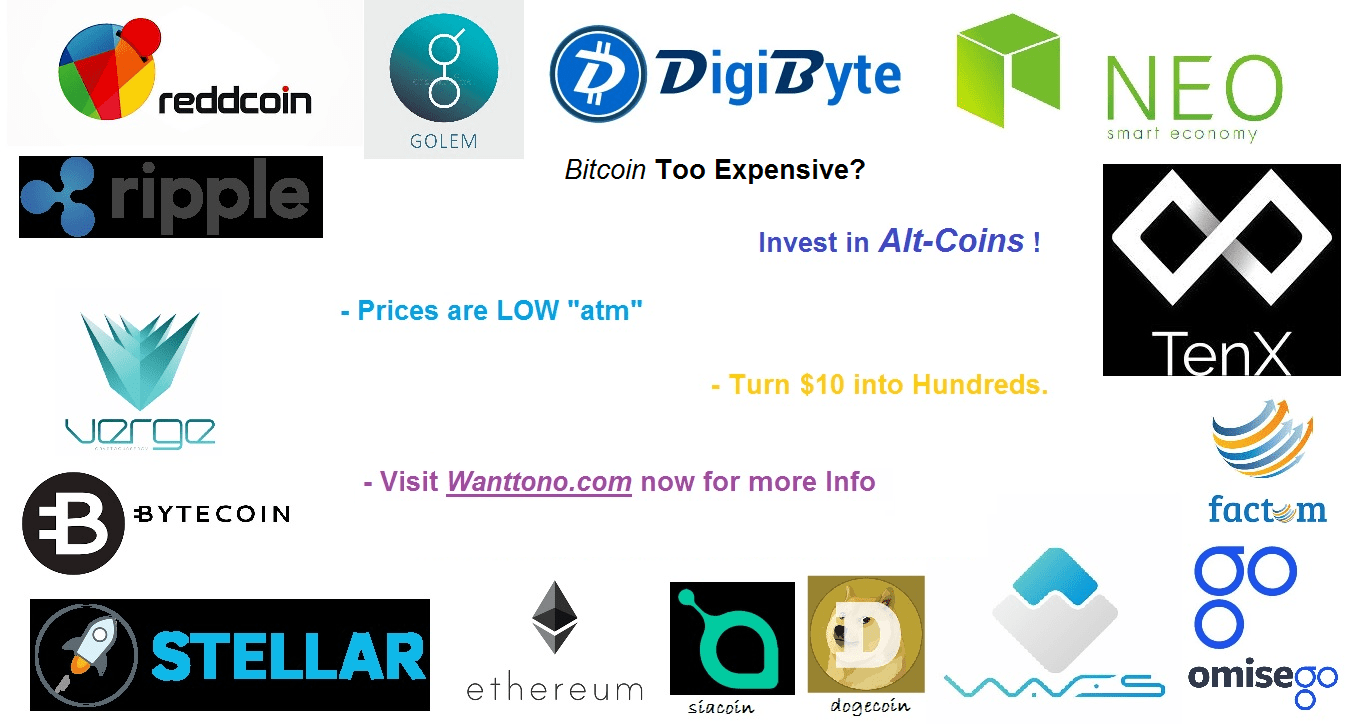 Bitcoin too Expensive ? Invest in Altcoins!