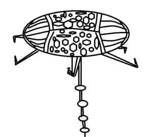 Scarab Like