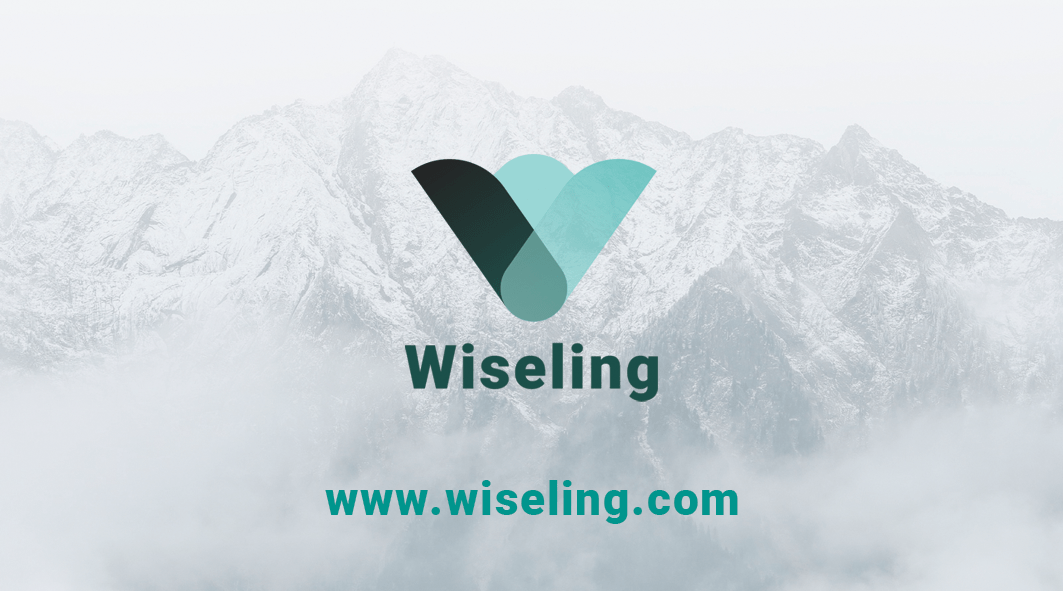 wiseling-business-card